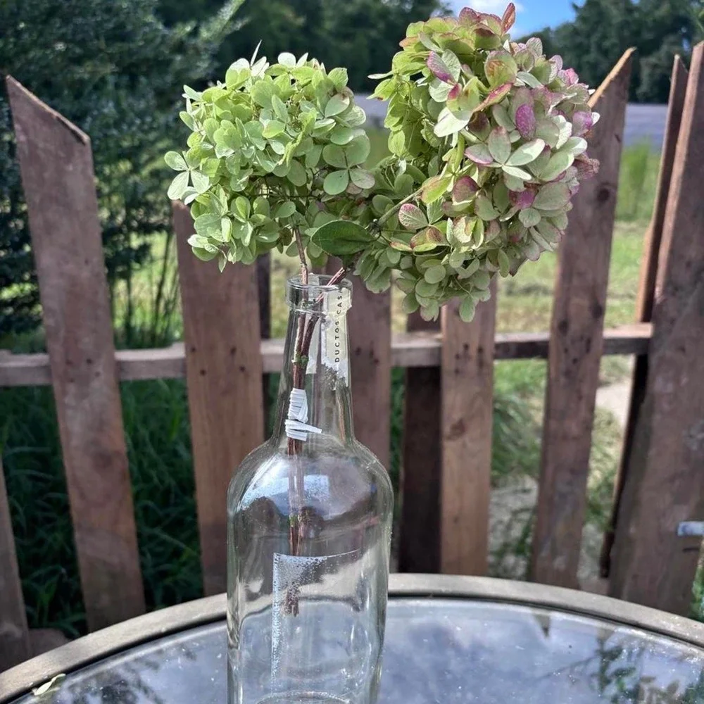 Real Preserved Hydrangea Stems 2pc Sage Green & Dusty Rose Pink Floral Decor